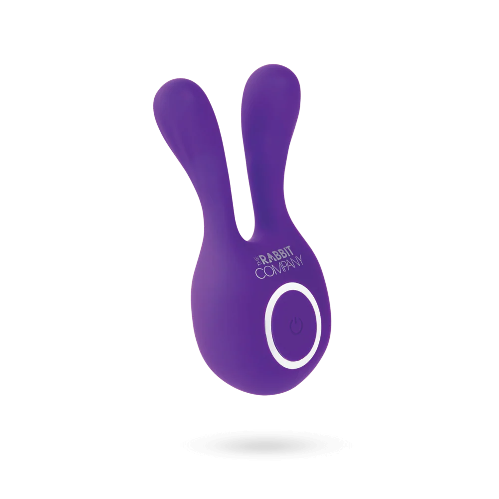 The Ears Plus Rabbit - Image 15